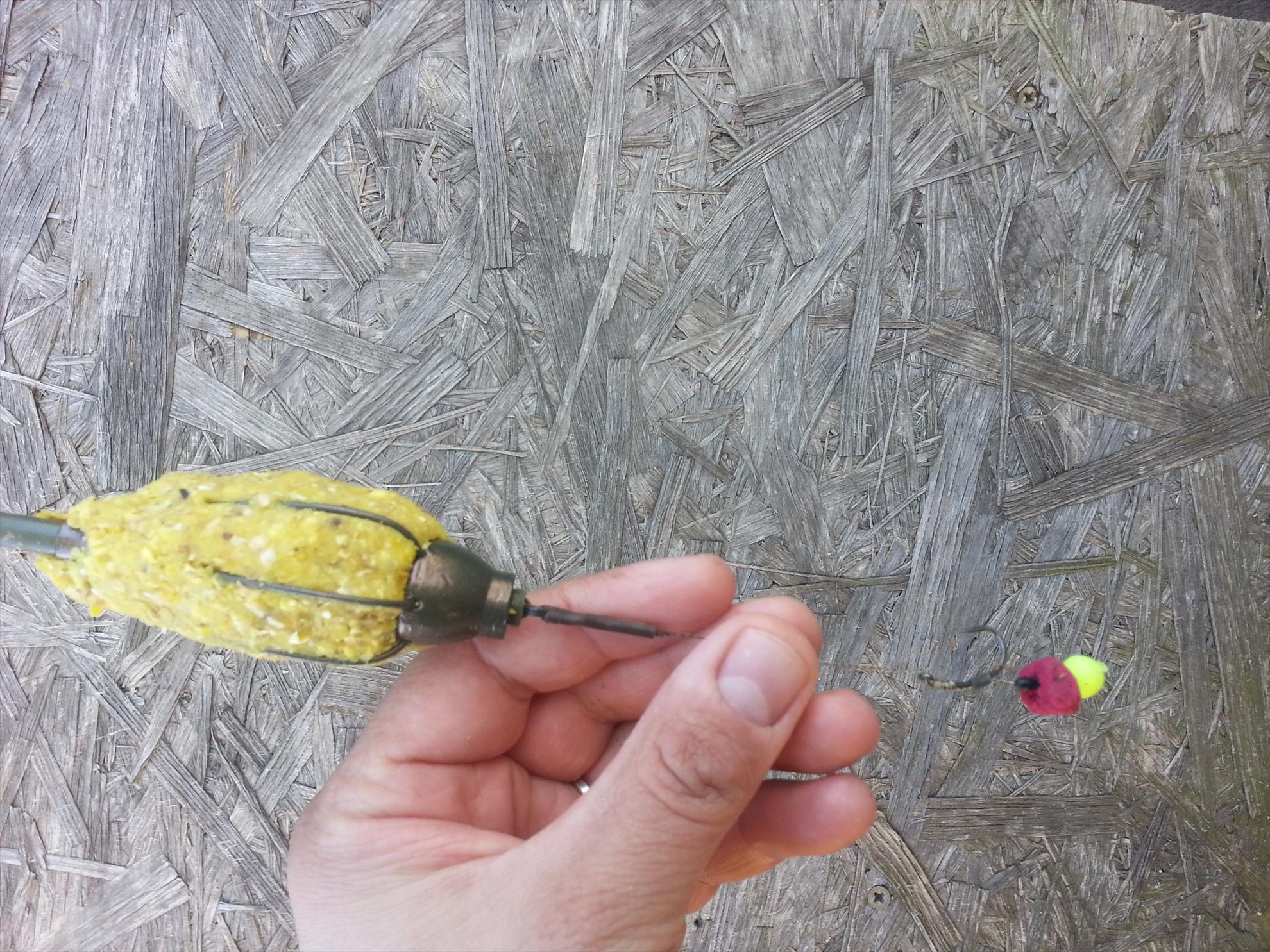 martie 2015 pe magura 9 - Montura prinzatoare-un forfac scurt de 7 cm, cu fir moale drennan superspecialist de 12 lb, carlig kord kurv shank nr. 6, iar pe firul de par am pus o jumatate de bila blood worm de la dynamite  un pop de plastic de 8 mm